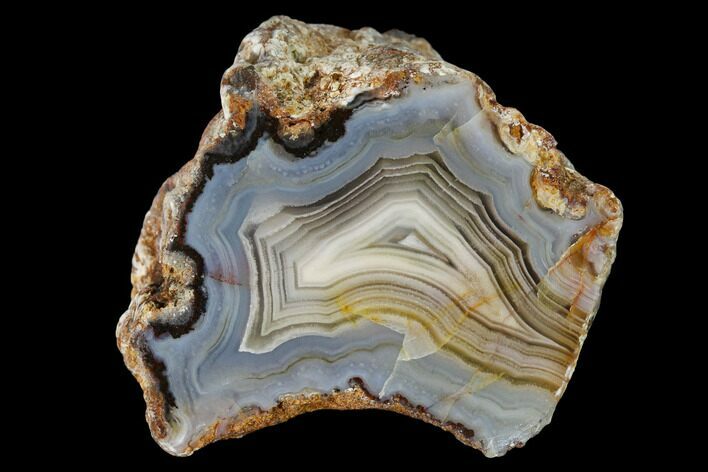 Polished Calandria Agate Nodule Half - Mexico #152637